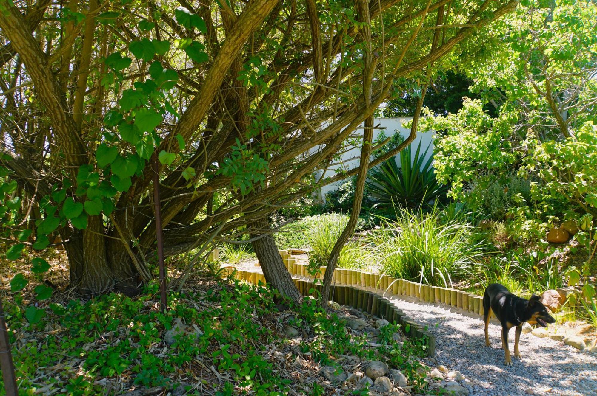 Swellendam Country Lodge - Guest House - B&B Exterior foto