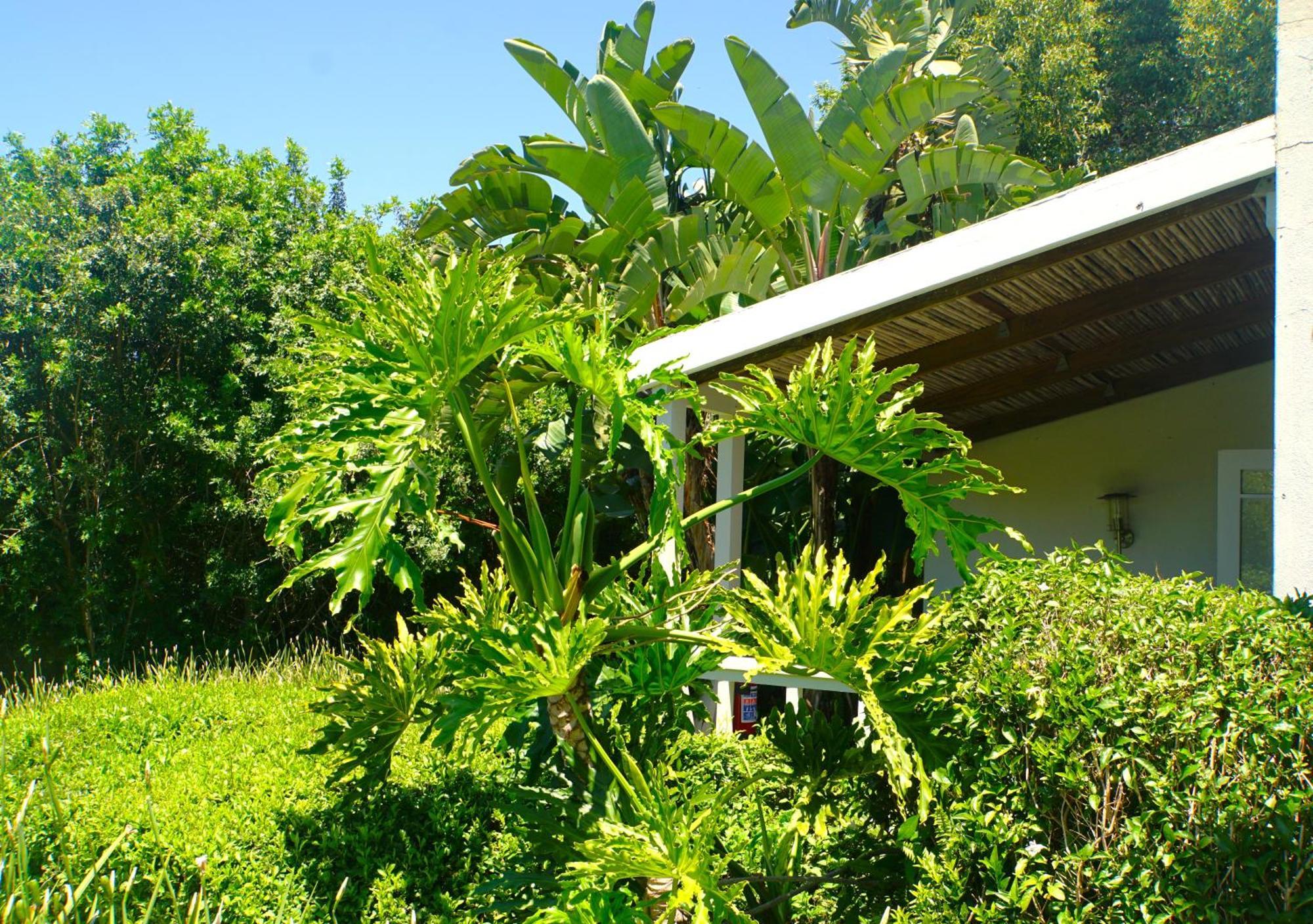 Swellendam Country Lodge - Guest House - B&B Exterior foto